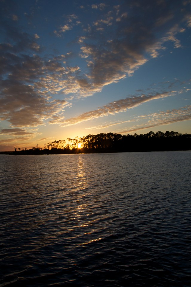 Laird Bayou, January 18, 2014