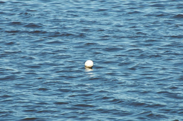 Though small, these buoys mark a grave danger for trawlers when entangled in a propeller.