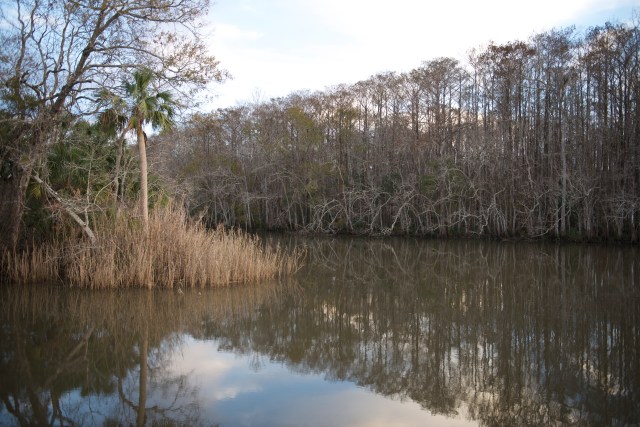 Our view upstream from the Traveler's bow.  