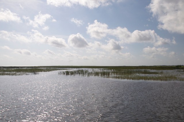 Grass grows up through the shallow depths.