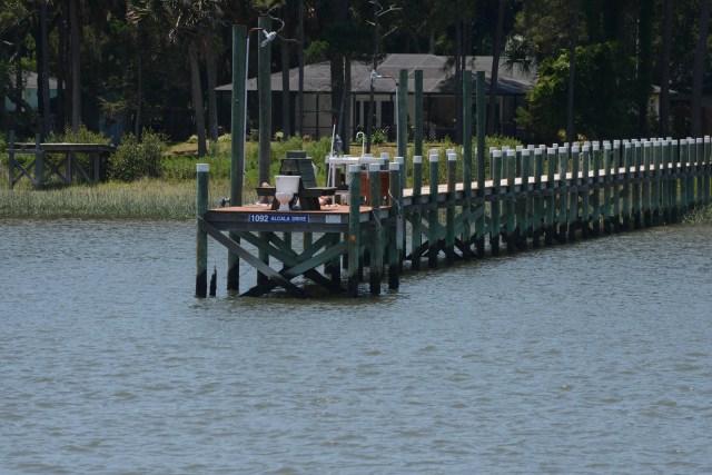 Yard art along the journey is always good for a smile.