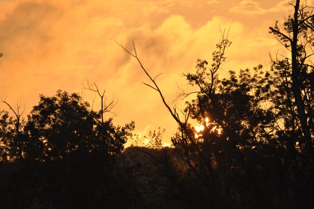 The sky bursts into flames at sunset; just part of the inspiration to paint Hudson River landscapes.