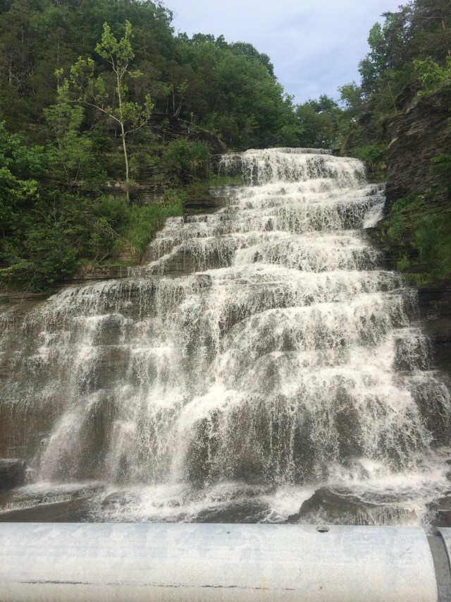 The late spring rains yields incredible beauty.