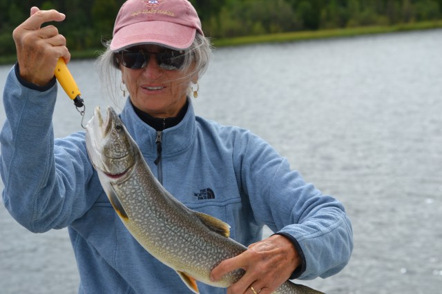 Another Lake Trout, this one from Ontario's western Otter Cove