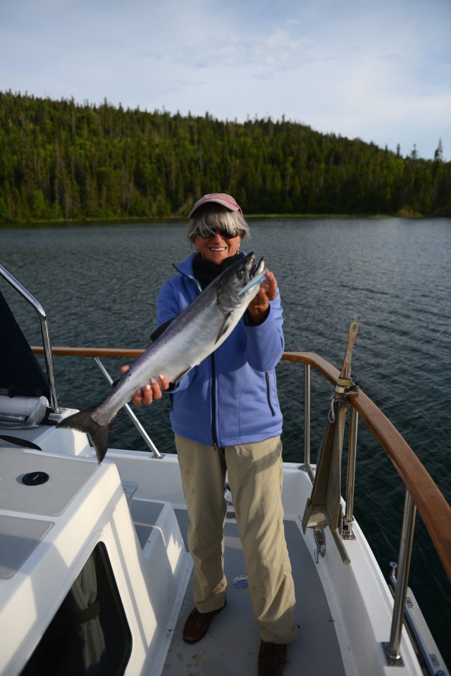 25-inch long Coho Salmon, caught in Loon Harbor, Ontario.