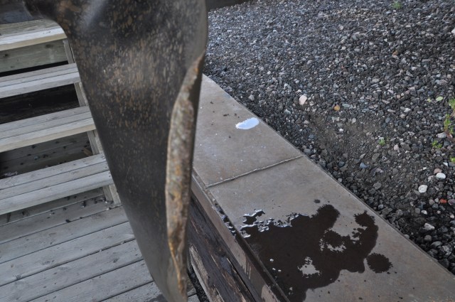 Note the severe folding of the blade