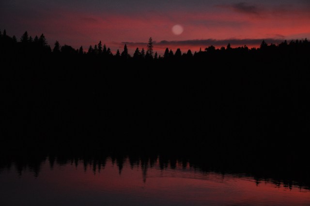 Moonrise. Hope that everyone enjoyed the summer solstice.  